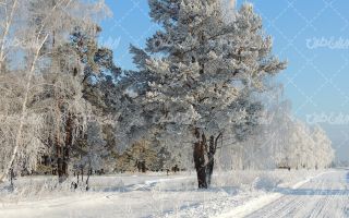تصویر با کیفیت چشم انداز زیبای برف همراه با منظره و طبیعت زیبا