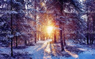 تصویر با کیفیت منظره زیبای غروب آفتاب به همراه برف و طبیعت برفی