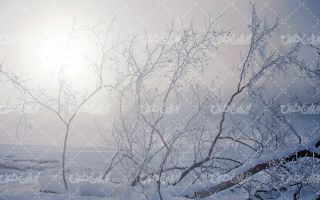 تصویر با کیفیت چشم انداز زیبای برفی همراه با منظره و طبیعت زیبا