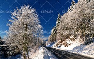 تصویر با کیفیت طبیعت زمستانی به همراه برف و طبیعت برفی