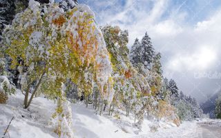 تصویر با کیفیت چشم انداز زیبای زمستان همراه با منظره دیدنی و طبیعت زیبا