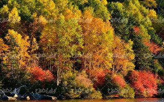 تصویر با کیفیت چشم انداز زیبای فصل پاییز همراه با منظره دیدنی و طبیعت زیبا