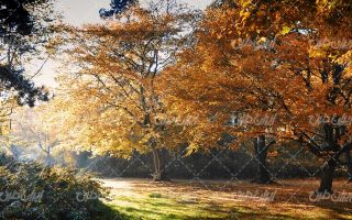 تصویر با کیفیت چشم انداز زیبای پاییز همراه با منظره دیدنی و طبیعت زیبا
