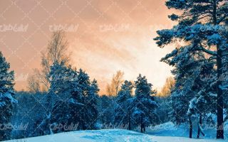 تصویر با کیفیت چشم انداز زیبای برف همراه با منظره دیدنی و طبیعت زیبا