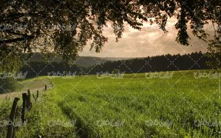 تصویر با کیفیت چشم انداز زیبای مزرعه همراه با منظره دیدنی و طبیعت زیبا