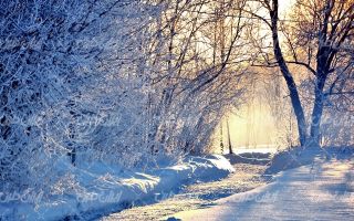 تصویر با کیفیت چشم انداز غروب آفتاب به همراه برف و طبیعت برفی