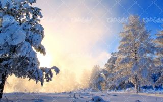 تصویر با کیفیت چشم انداز زیبای برف همراه با منظره دیدنی و طبیعت زیبا
