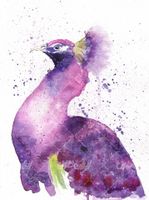 تصویر با کیفیت نقاشی طاووس همراه با نقاشی آبرنگ و نقاشی