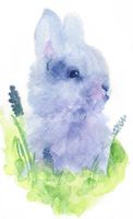 تصویر با کیفیت نقاشی خرگوش همراه با نقاشی آبرنگ و نقاشی