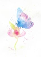 تصویر با کیفیت نقاشی پروانه همراه با نقاشی آبرنگ و نقاشی