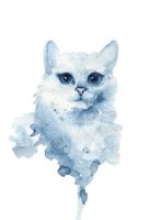 تصویر با کیفیت نقاشی گربه همراه با نقاشی آبرنگ و نقاشی