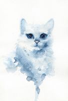 تصویر با کیفیت نقاشی گربه همراه با نقاشی آبرنگ و نقاشی