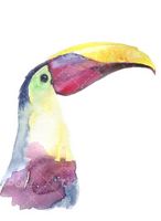 تصویر با کیفیت نقاشی طوطی همراه با نقاشی آبرنگ و نقاشی