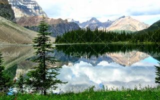 تصویر با کیفیت منظره دریاچه همراه با چشم انداز زیبایی طبیعت و جنگل