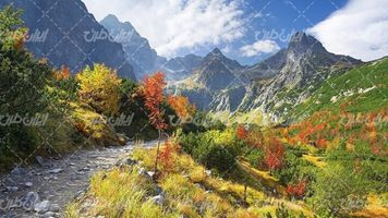 تصویر با کیفیت پاییز همراه با چشم انداز زیبایی طبیعت و کوه