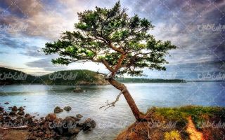 تصویر با کیفیت دریاچه همراه با چشم انداز زیبایی طبیعت و درخت
