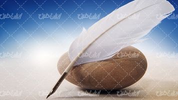 وکتور برداری سنگ سیقلی همراه با پر نوشتن و پس زمینه