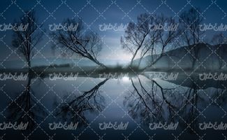 تصویر با کیفیت منظره زیبای دریاچه همراه با درخت و شب