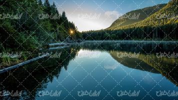 تصویر با کیفیت منظره زیبای دریاچه همراه با جنگل و درخت