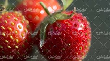 تصویر با کیفیت توت فرنگی همراه با میوه و میوه بهاری