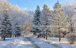 تصویر با کیفیت چشم انداز زیبای برفی به همراه برف و طبیعت برفی