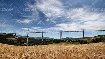 تصویر با چشم انداز زیبای مزرعه گندم همراه با کشاورزی و آسمان آبی