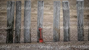 تصویر با کیفیت کنده درخت همراه با حصار چوبی و بیلچه قرمز