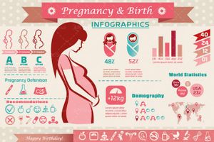 وکتور اینفوگرافی زن حامله زن باردار نسبت تولد فرزند دختر به فرزند پسر