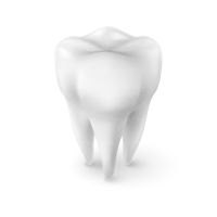 وکتور دندان دندان پزشکی دندان سفید محافظ دندان سپر مراقبت کننده دندان2