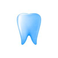 وکتور دندان دندان پزشکی ریشه دندان 82