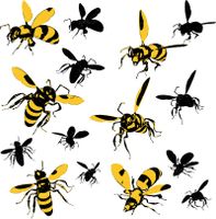 وکتور زنبور عسل زنبور داری پرورش زنبور 1