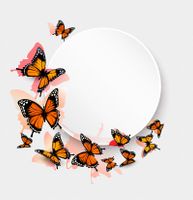 وکتور پروانه رنگی پروانه گرافیکی بک گراند 12