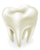 وکتور ریشه دندان دندان های سفید دندان پزشکی