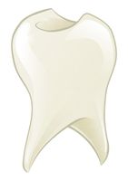 وکتور دندان ریشه دندان دندان پزشکی دندان سفید 10