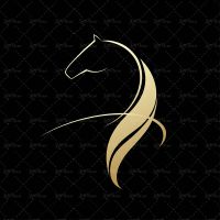 وکتور اسب سر اسب لوگو اسب اسب یال دار یال اسب کله اسب نماد اسب نشان اسب 9