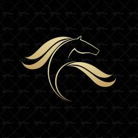 وکتور اسب سر اسب لوگو اسب اسب یال دار یال اسب کله اسب نماد اسب نشان اسب 14