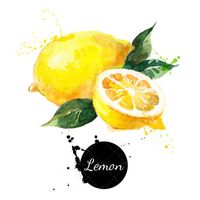 وکتور میوه فروشی وکتور لیمو وکتور سوپر میوه5