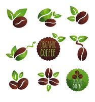 وکتور دانه های قهوه وکتور قهوه فرآوری شده وکتور لیبل قهوه ارگانیک