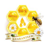 وکتور لوگو تولید عسل وکتور زنبور عسل وکتور شیشه عسل3
