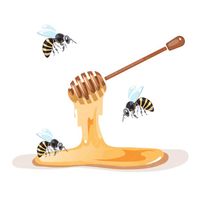 وکتور عسل وکتور زنبور عسل وکتور قاشق چوبی عسل