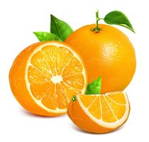 وکتور پرتقال وکتور آب میوه وکتور آبمیوه پرتقال