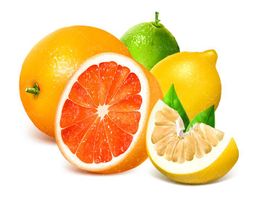 وکتور پرتقال وکتور آب میوه وکتور آبمیوه پرتقال2