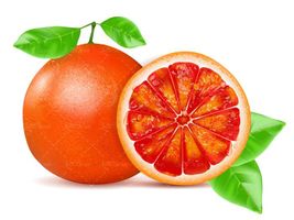 وکتور پرتقال توسرخ وکتور پرتقال خونی وکتور آبمیوه طبیعی