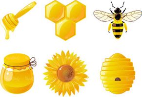 وکتور عسل وکتور پرورش زنبور عسل وکتور قاشق عسل