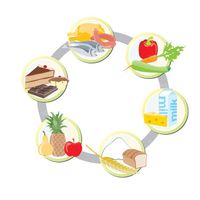 وکتور نمودار ارزش غذایی مواد غذایی مختلف وکتور میوه وکتور نان و غلات1