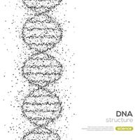 وکتور ساختار دی ان ای وکتور DNA