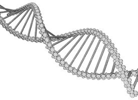 وکتور ساختار دی ان ای وکتور DNA