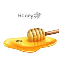 وکتور عسل وکتور قاشق چوبی عسل