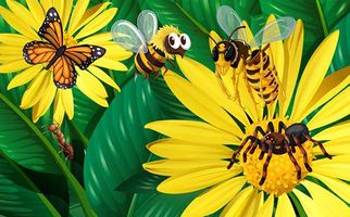 وکتور گل بهاری وکتور پروانه وکتور زنبور عسل
