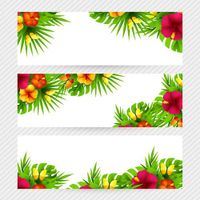 وکتور حاشیه گل وکتور پس زمینه گل و بوته